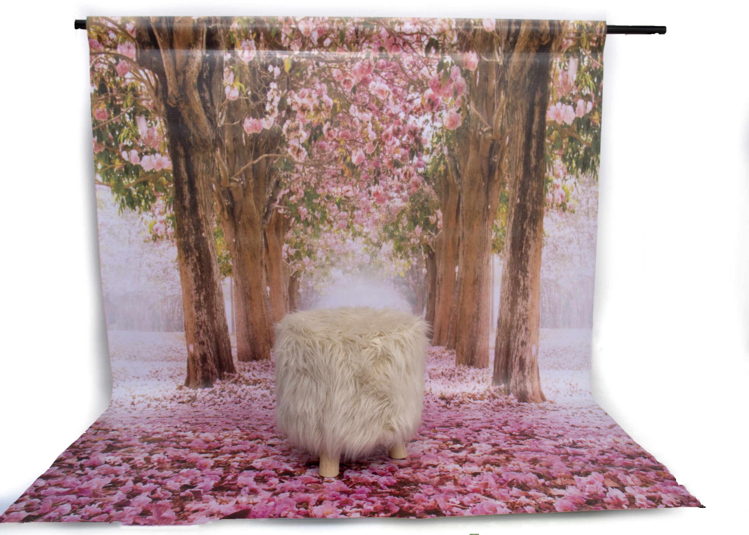 BACKDROP_A11A0045 copy