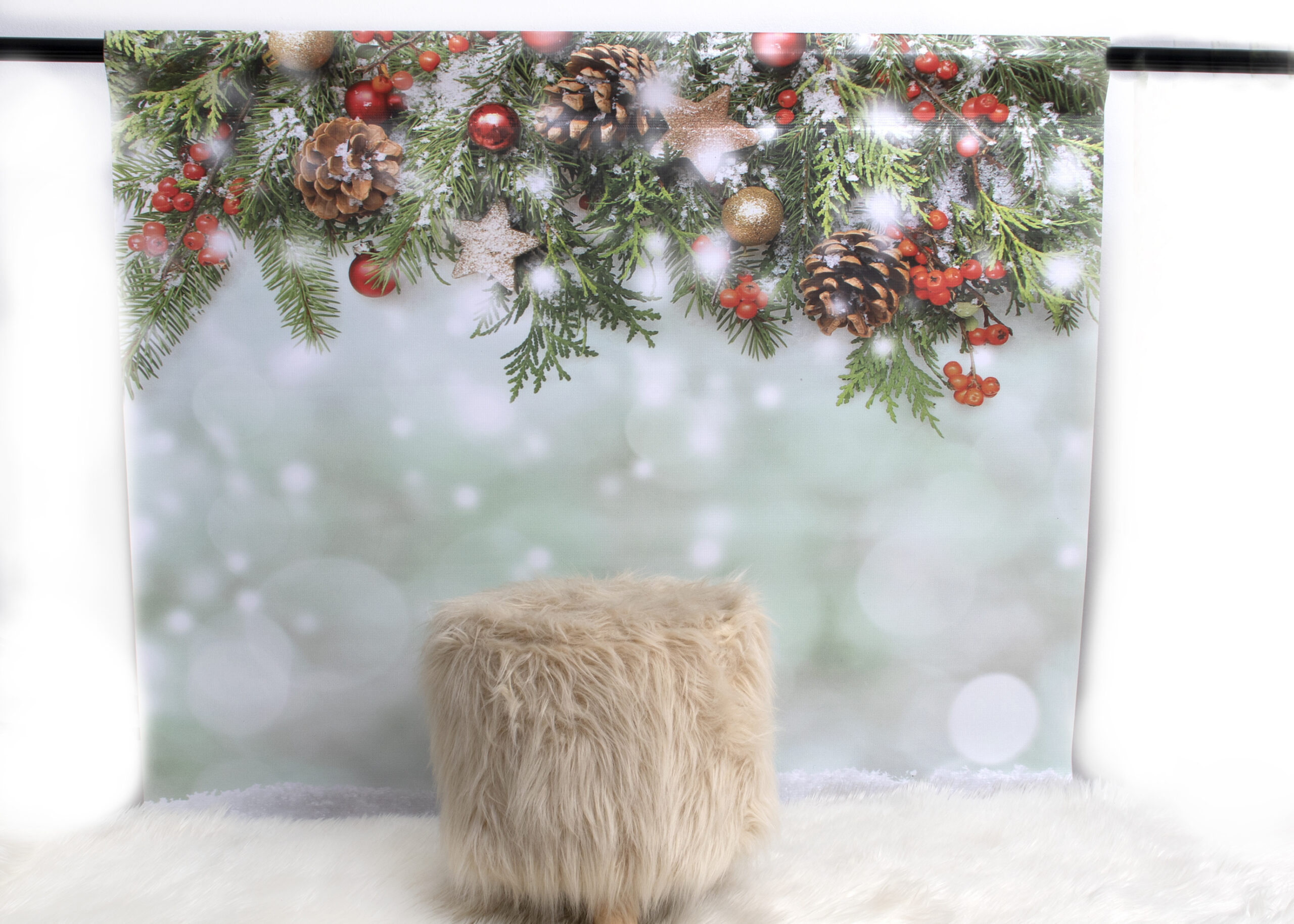 BACKDROP_A11A0047 copy