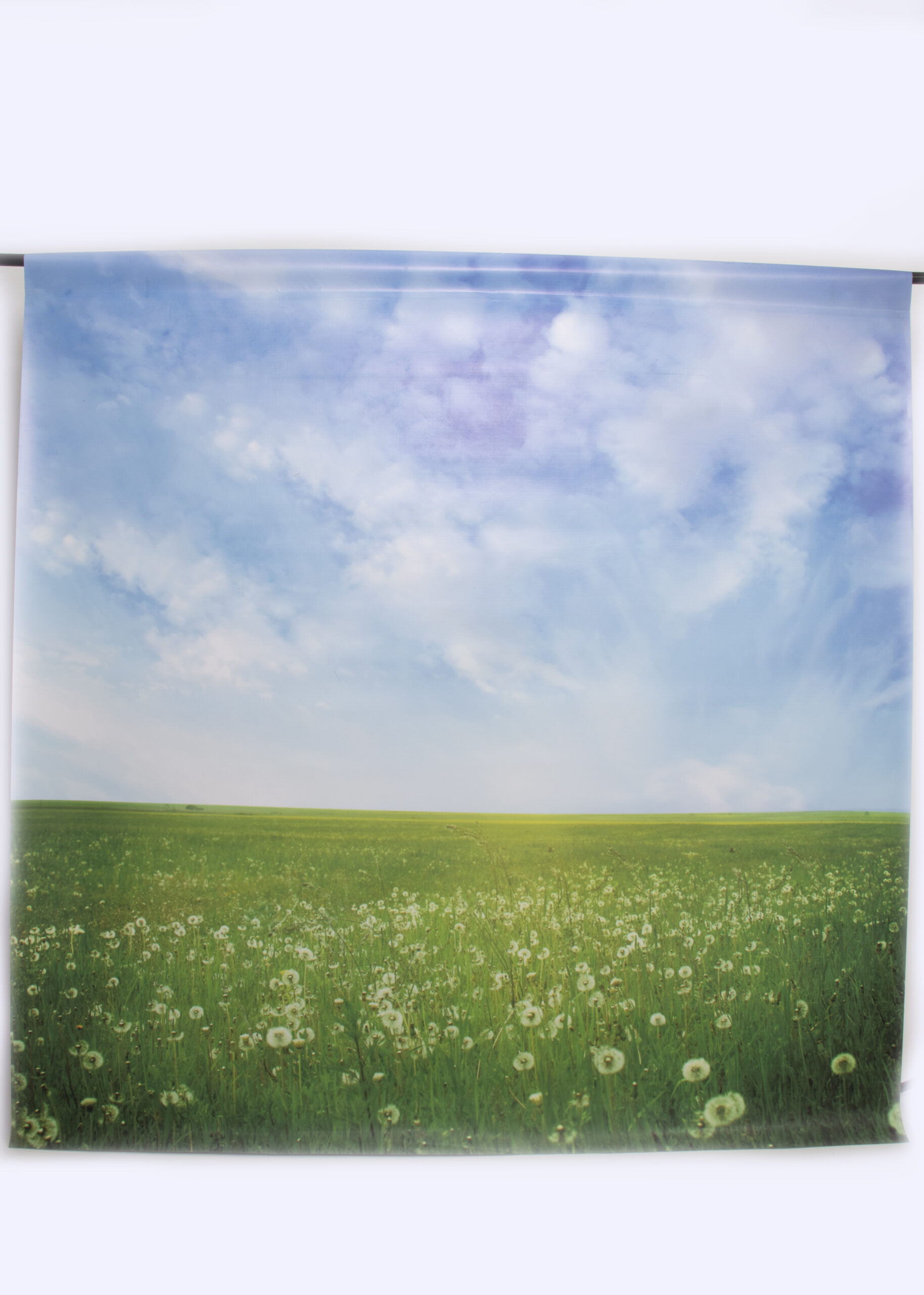 BACKDROP_A11A0055 copy
