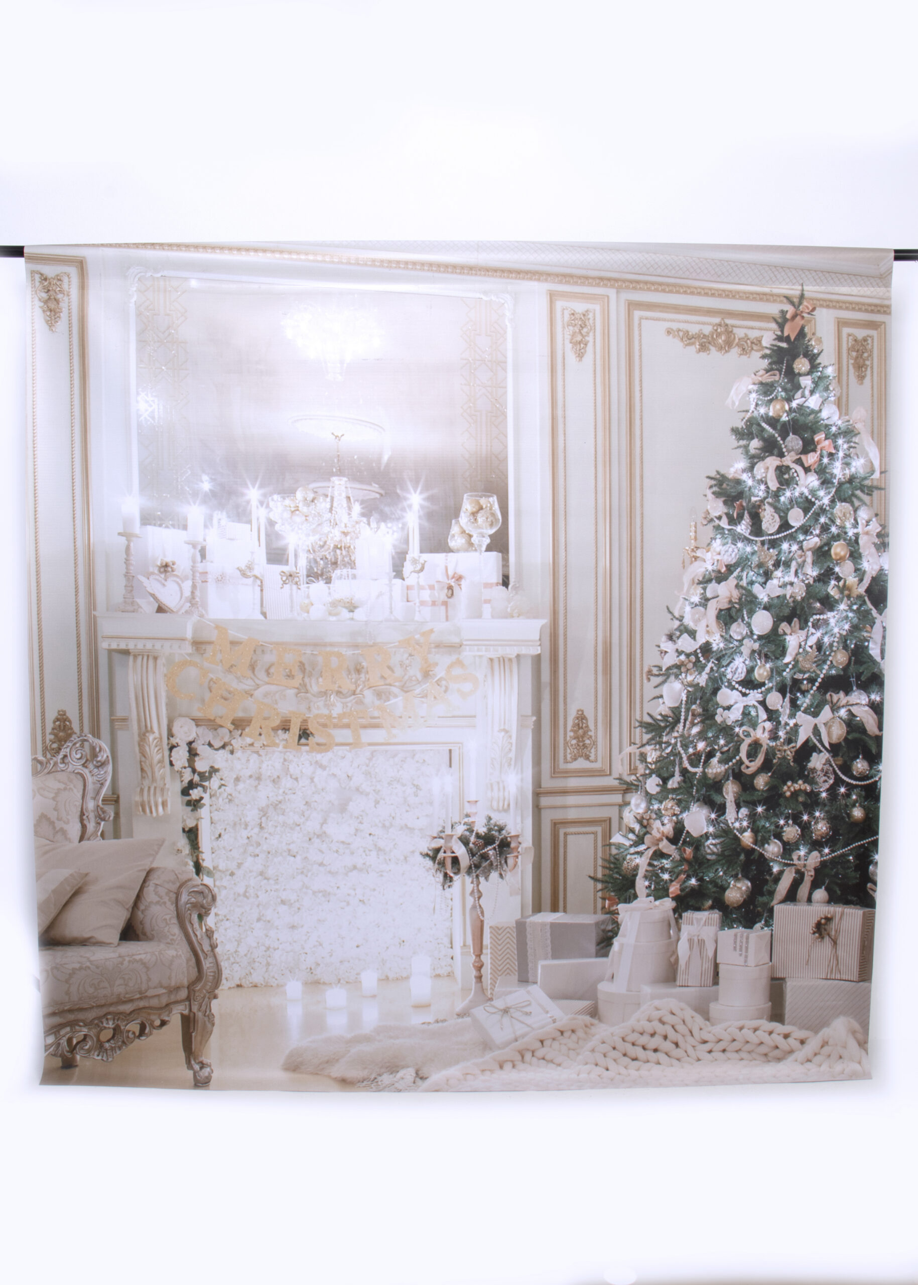 BACKDROP_A11A0080 copy