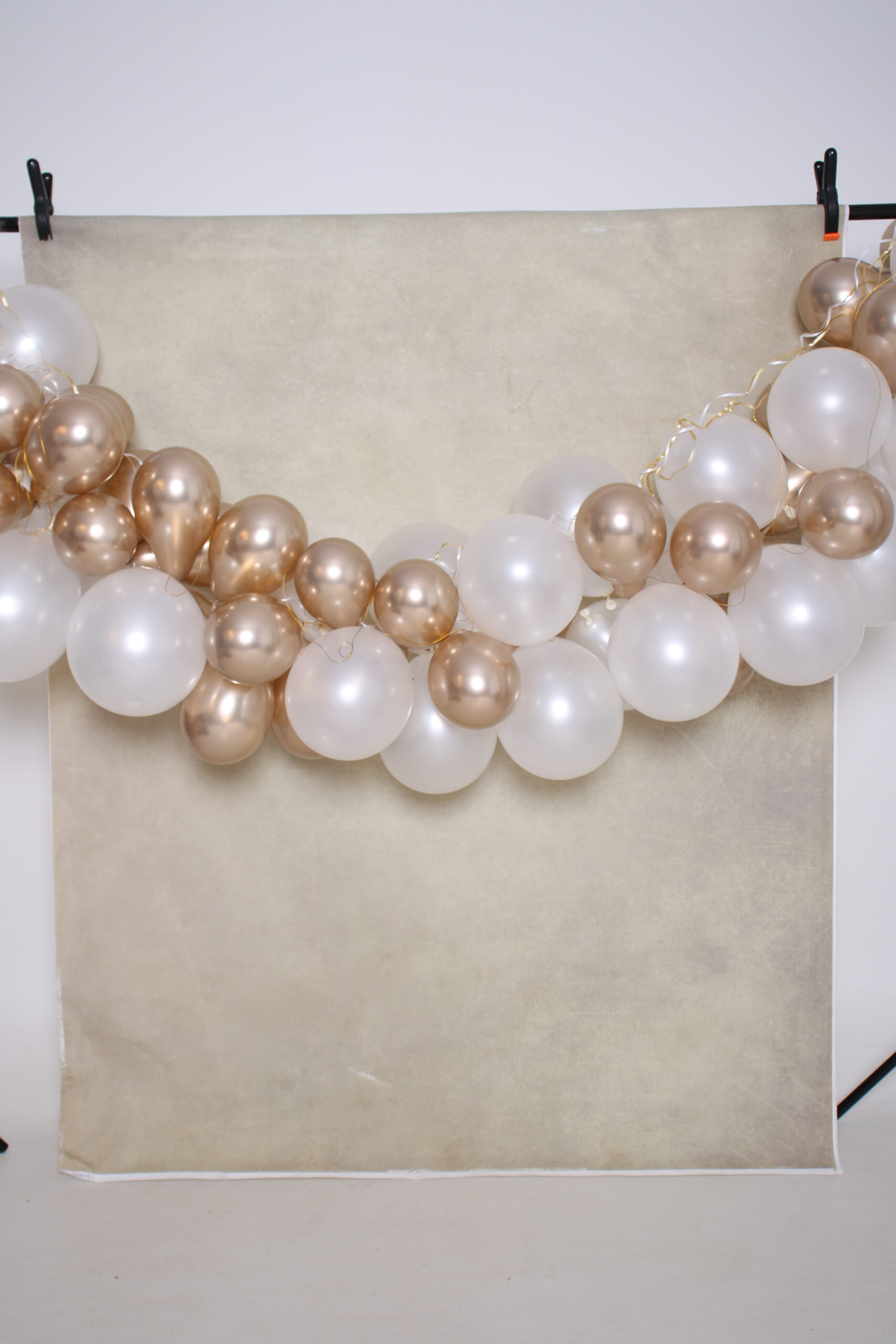 BACKDROP_A11A0707