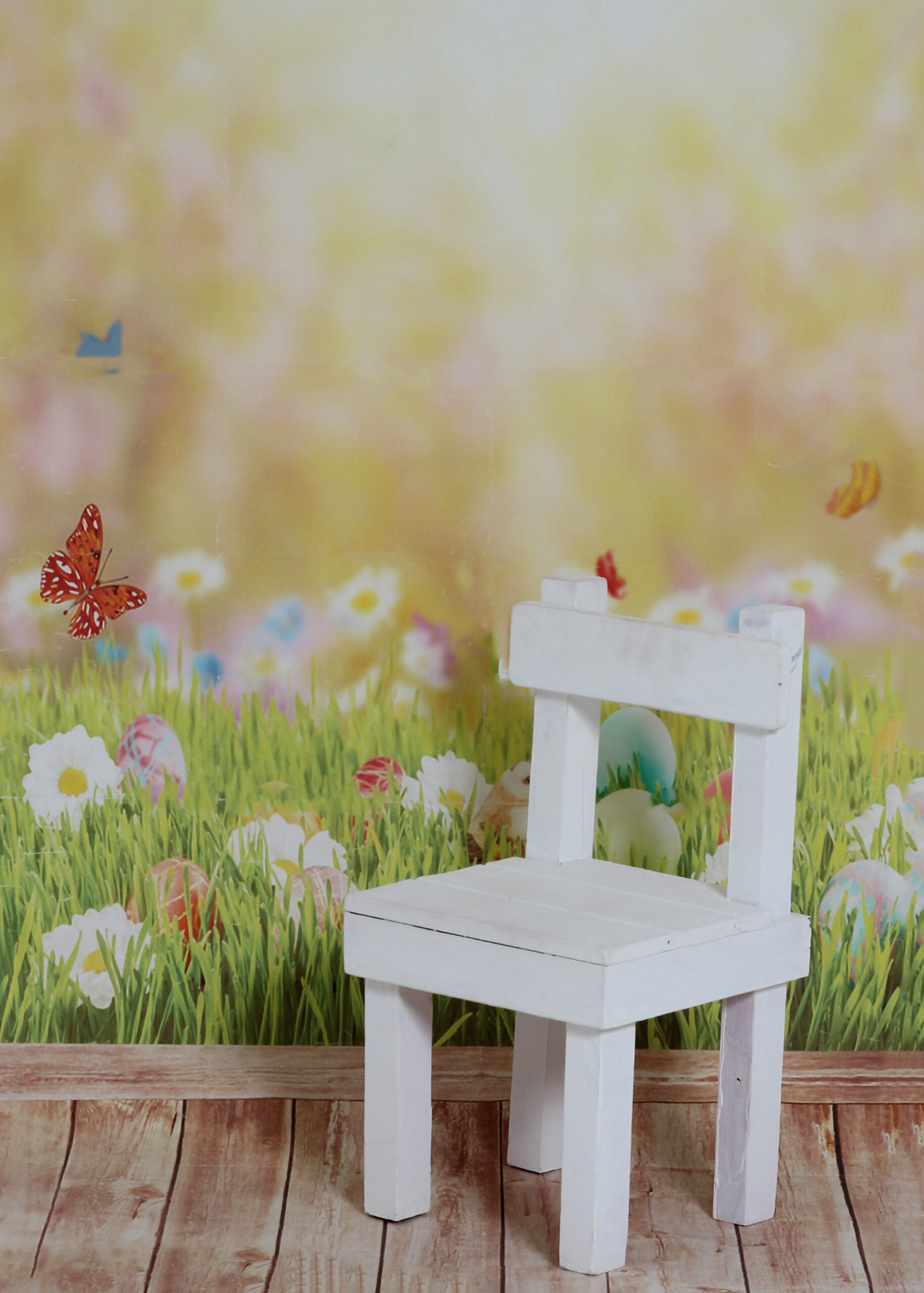 BACKDROP_Butterfly with wooden wall & Prop