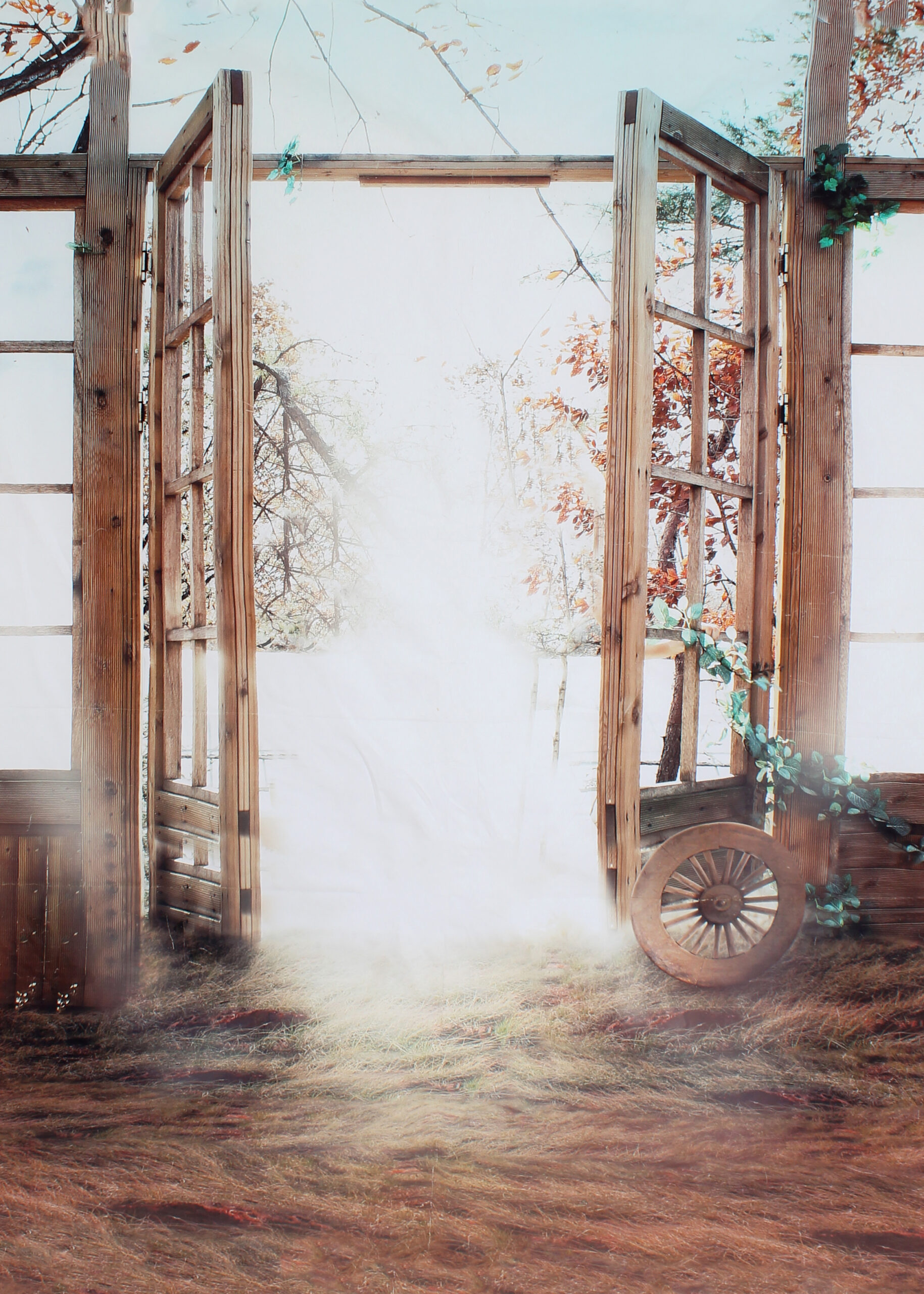 BACKDROP_Door Frame