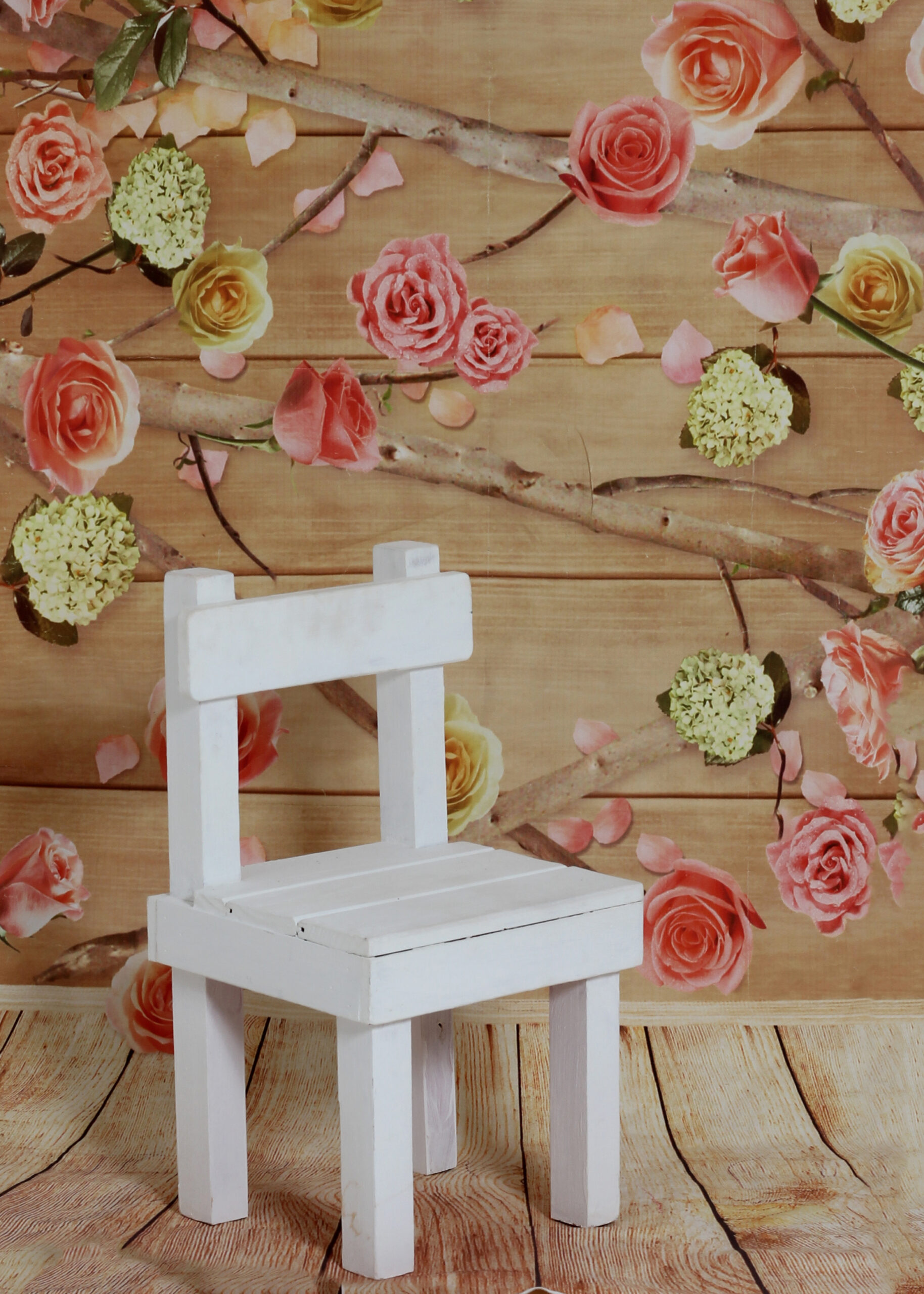 BACKDROP_Rose wall with wooden floor & Prop