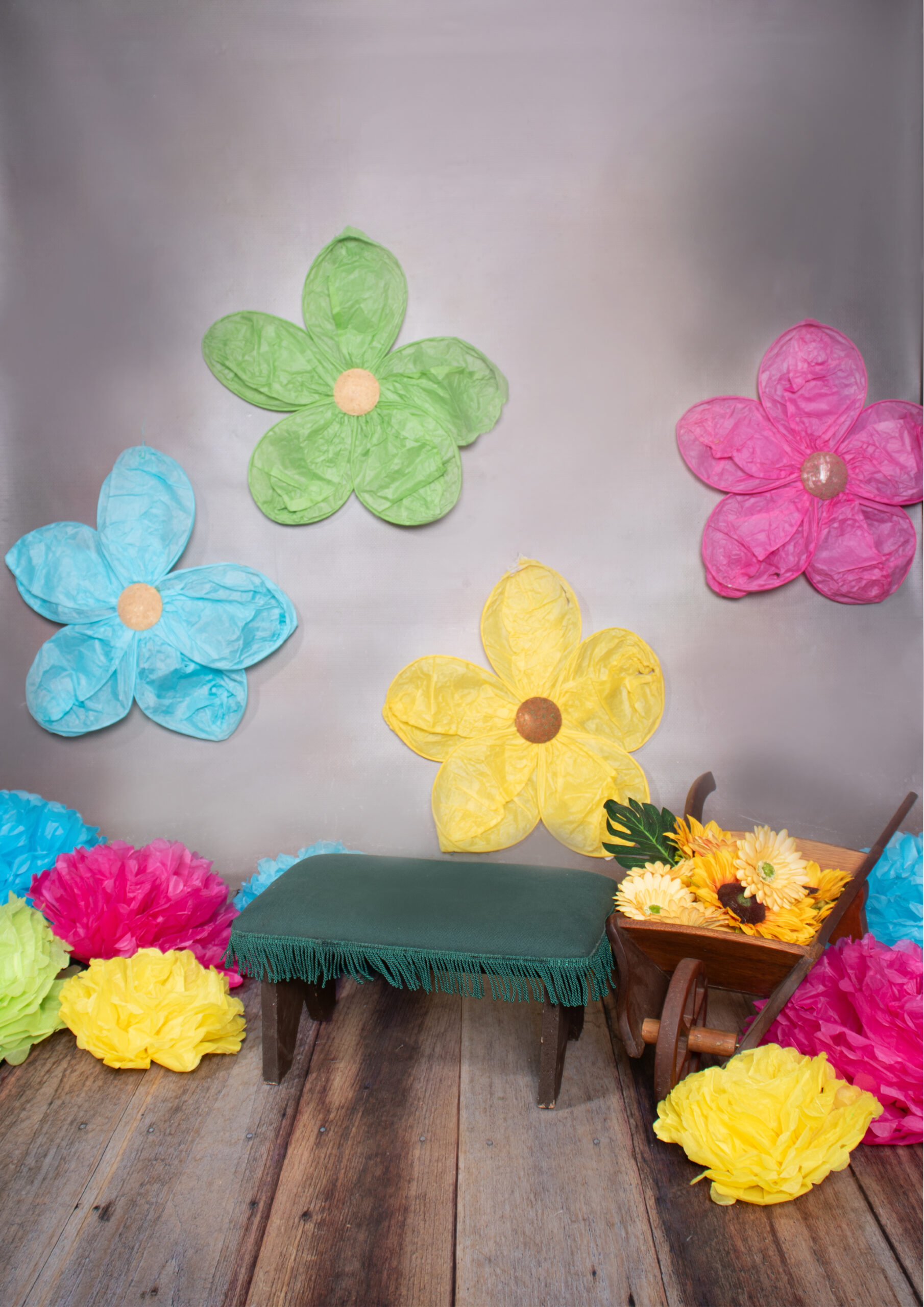 BACKDROP_lente