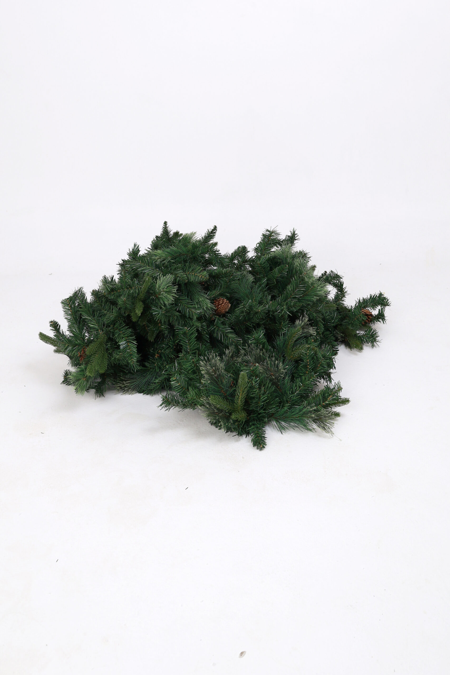 Christmas flower