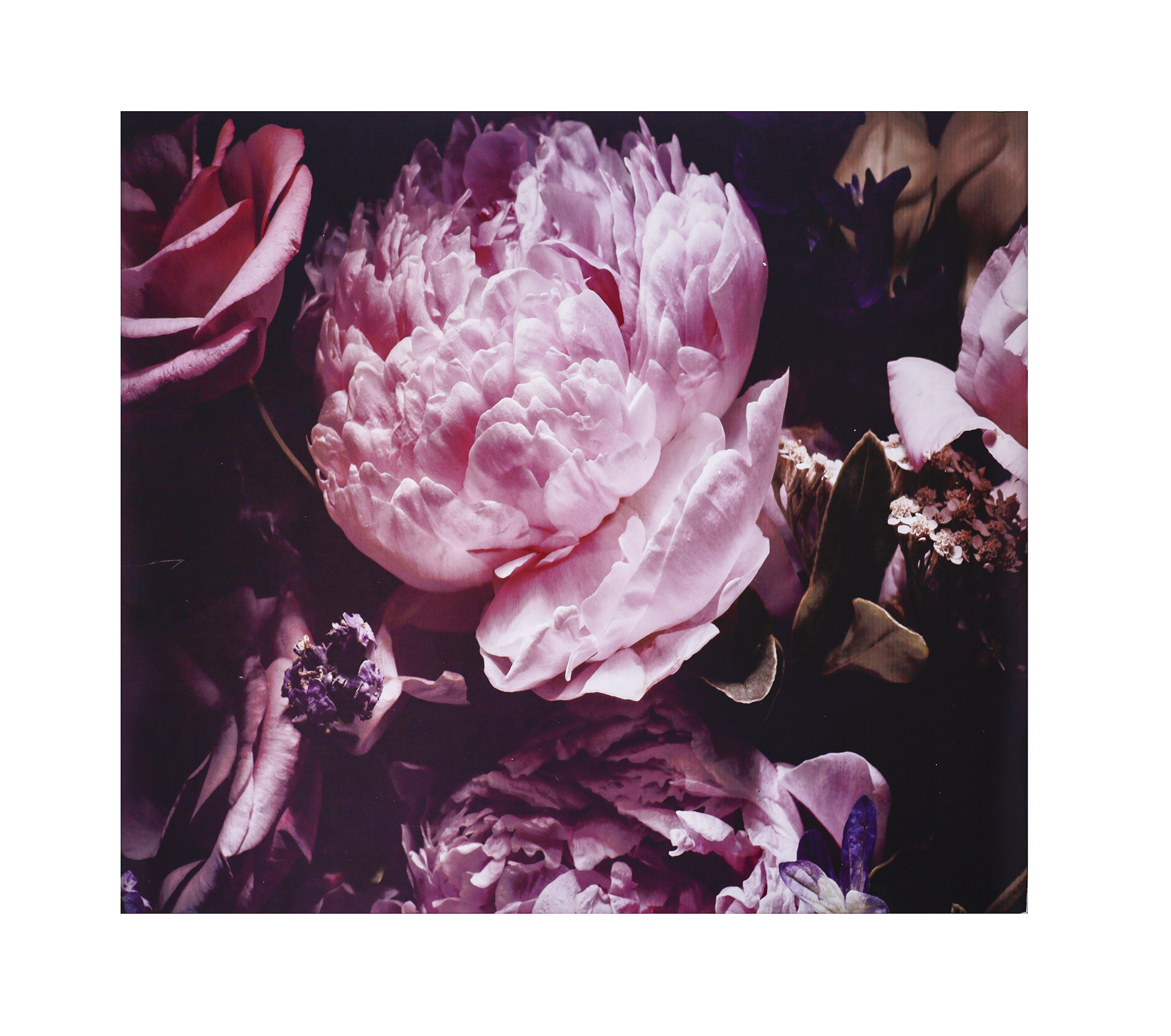 NEOPRENE MAT_1m x 1m Neoprine Peonie