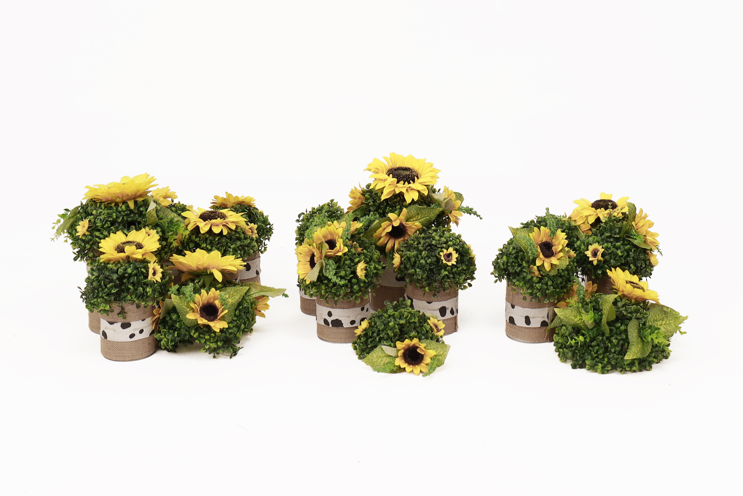 Plants 1